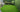Transform Your Garden with a Grass Carpet: DIY Tips