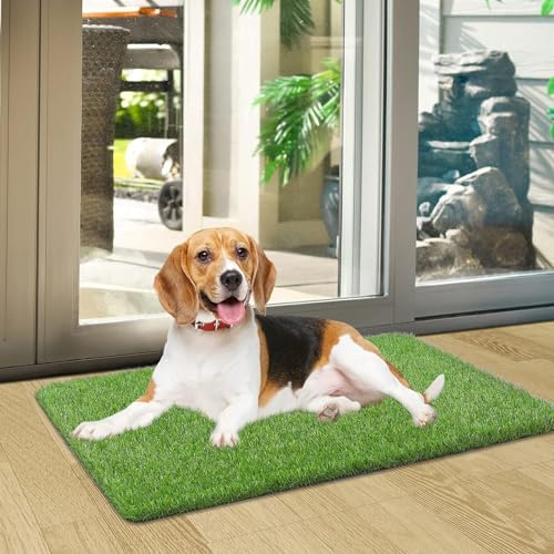 Artificial Grass - High Density Realistic Grass Carpet 35 mm Thick ( 2.5 ft Width)